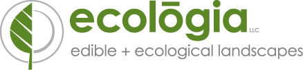 ecologia / edible + ecological landscapes