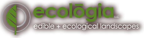 ecologia / edible + ecological landscapes