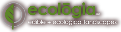 ecologia / edible + ecological landscapes