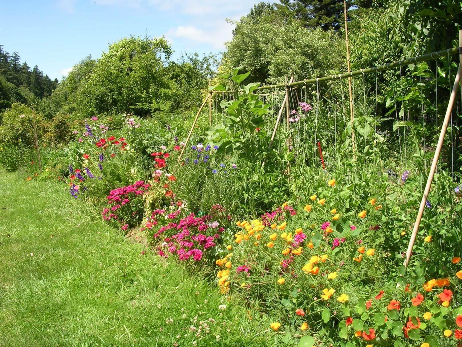 Edible Borders