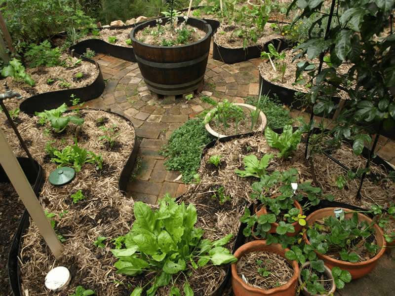 Patio Garden