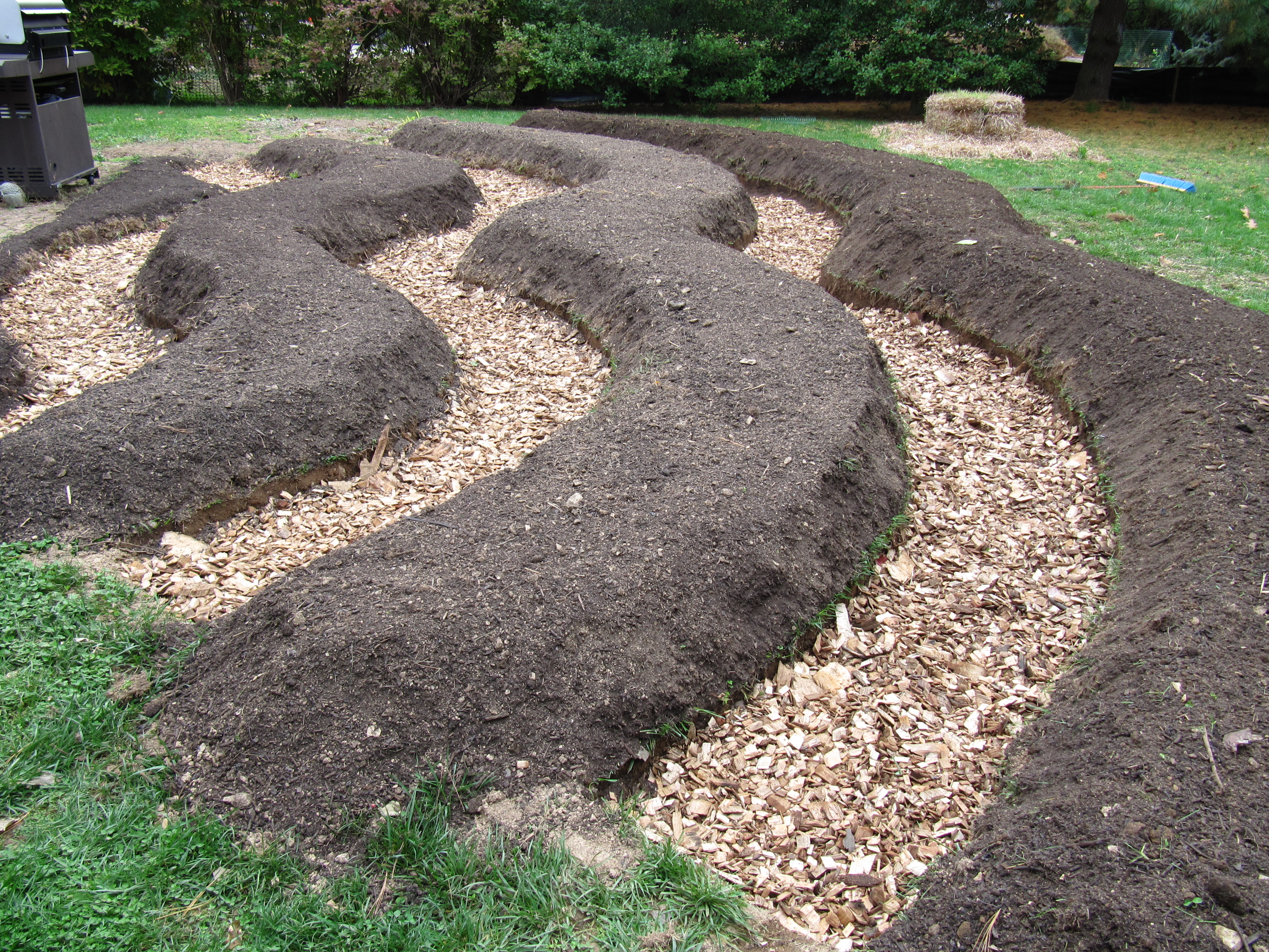 Raised beds on Contour with wood chip paths