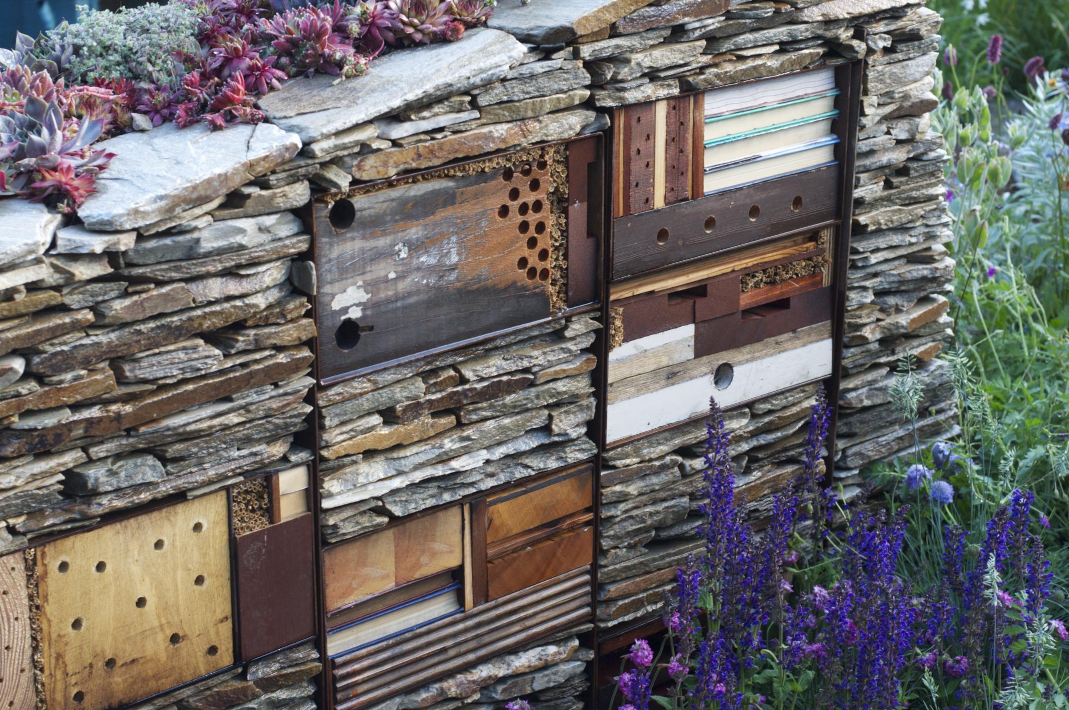 Habitat wall at the RBC New Wild Garden