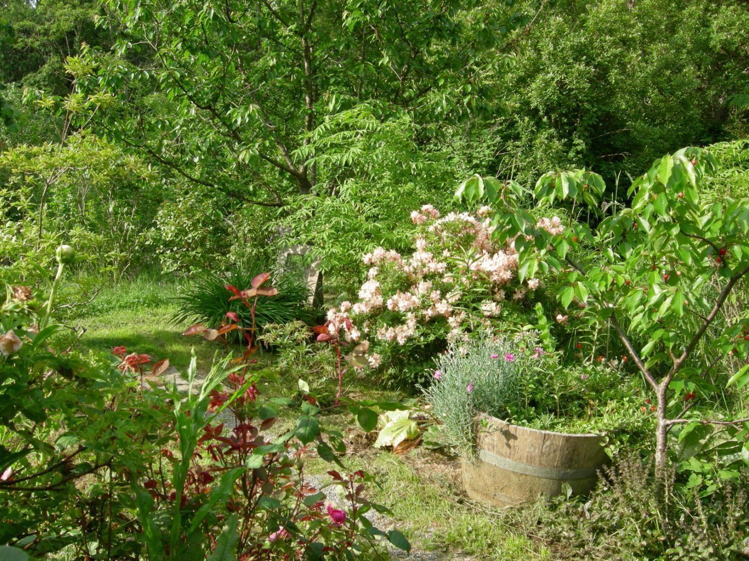 Stroll in the Food Forest