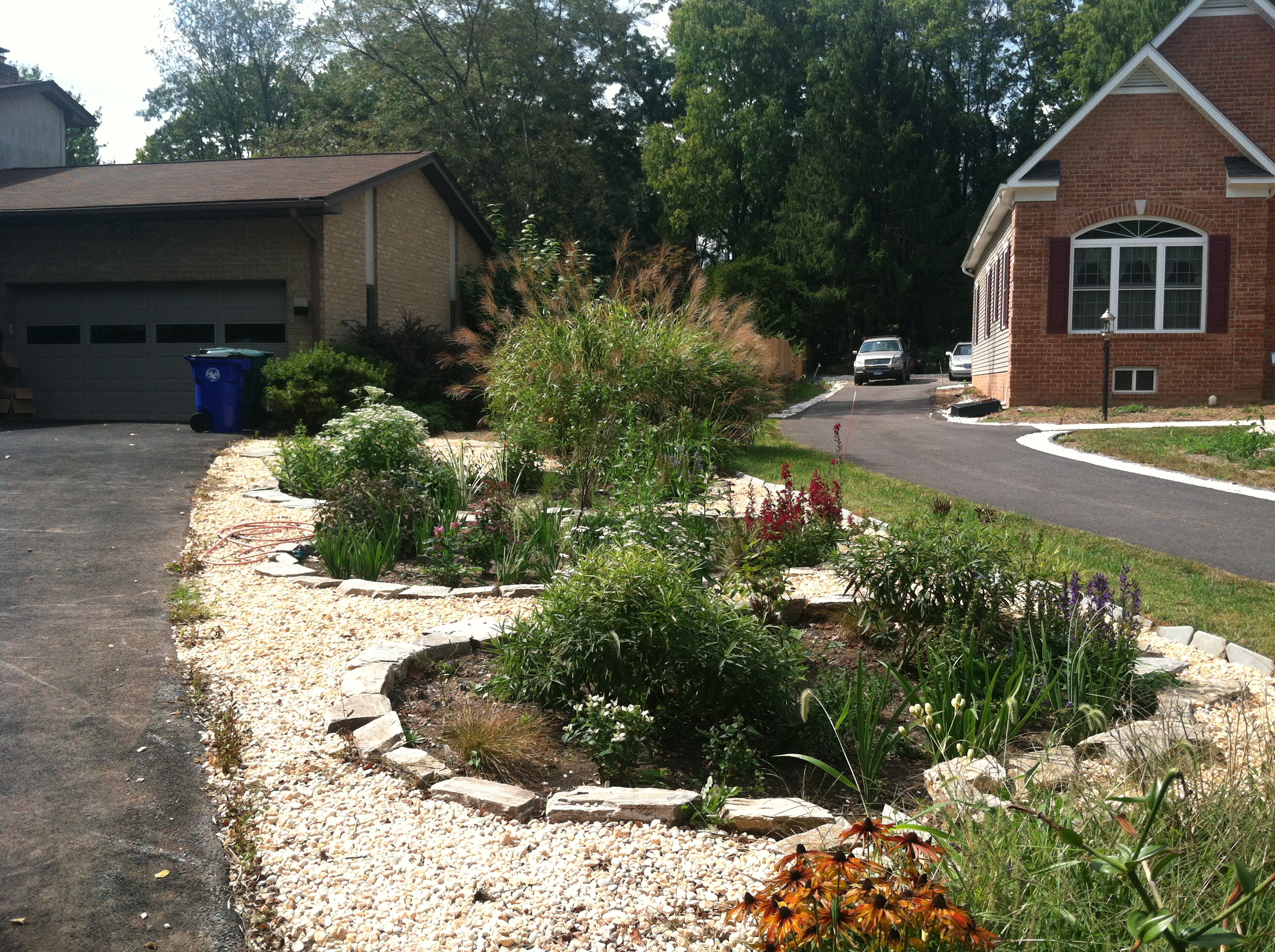 Three Tiered Rain Garden Harvesting Runoff from all Surrounding Hardscapes