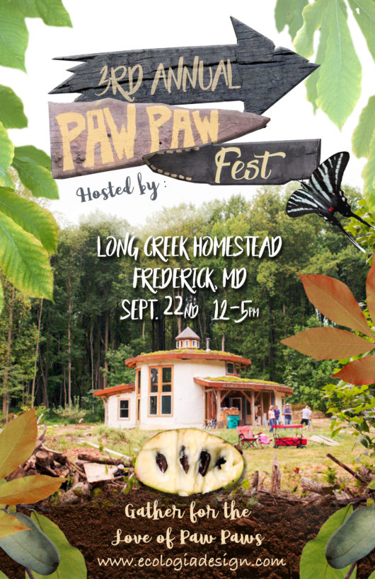 Paw Paw fest fix Ecologia Design