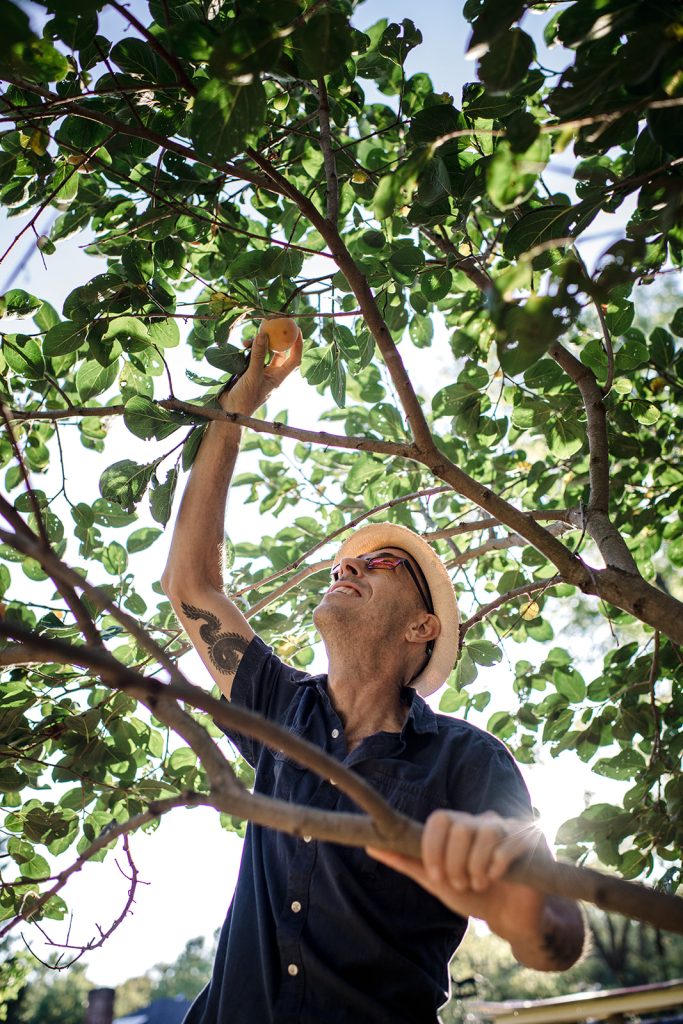 Introducing The Fruit Patch App | Ecologia Design / 240.344.5625