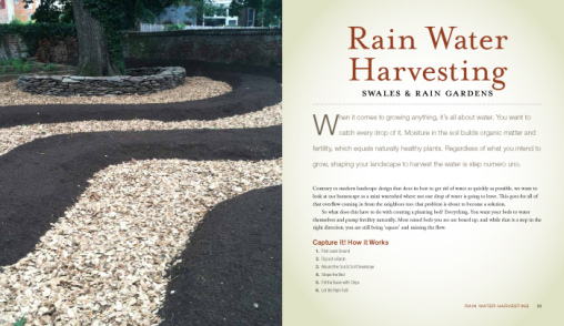 rainharvestingch