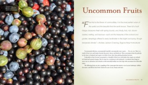 uncommonfruitsch